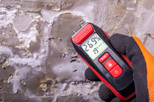 Best Professional Mold Removal  in Quincy, IL