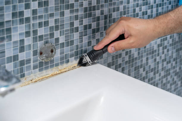 Best Mold Remediation  in Quincy, IL