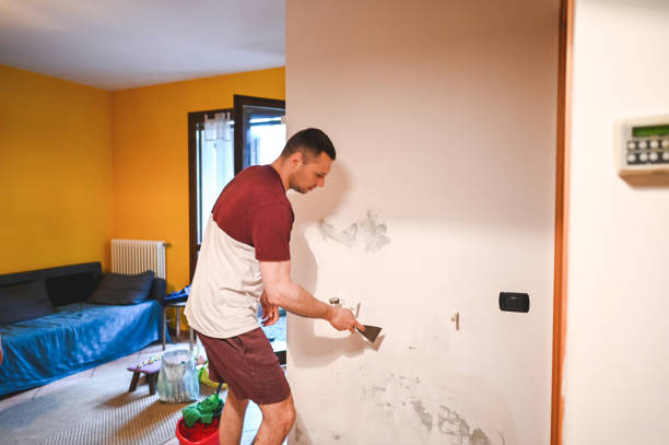 Best Fast Mold Removal  in Quincy, IL